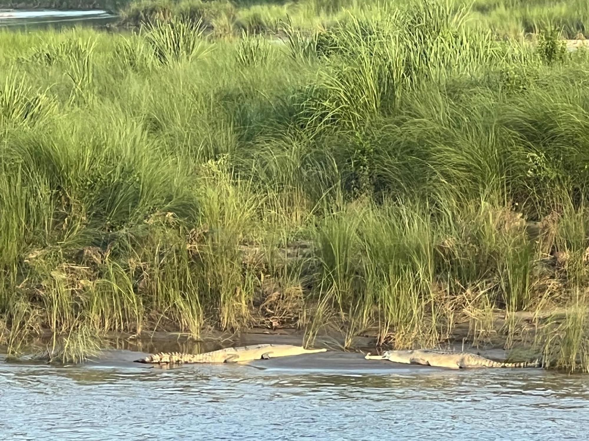 Ama Garden Sauraha 호텔 외부 사진