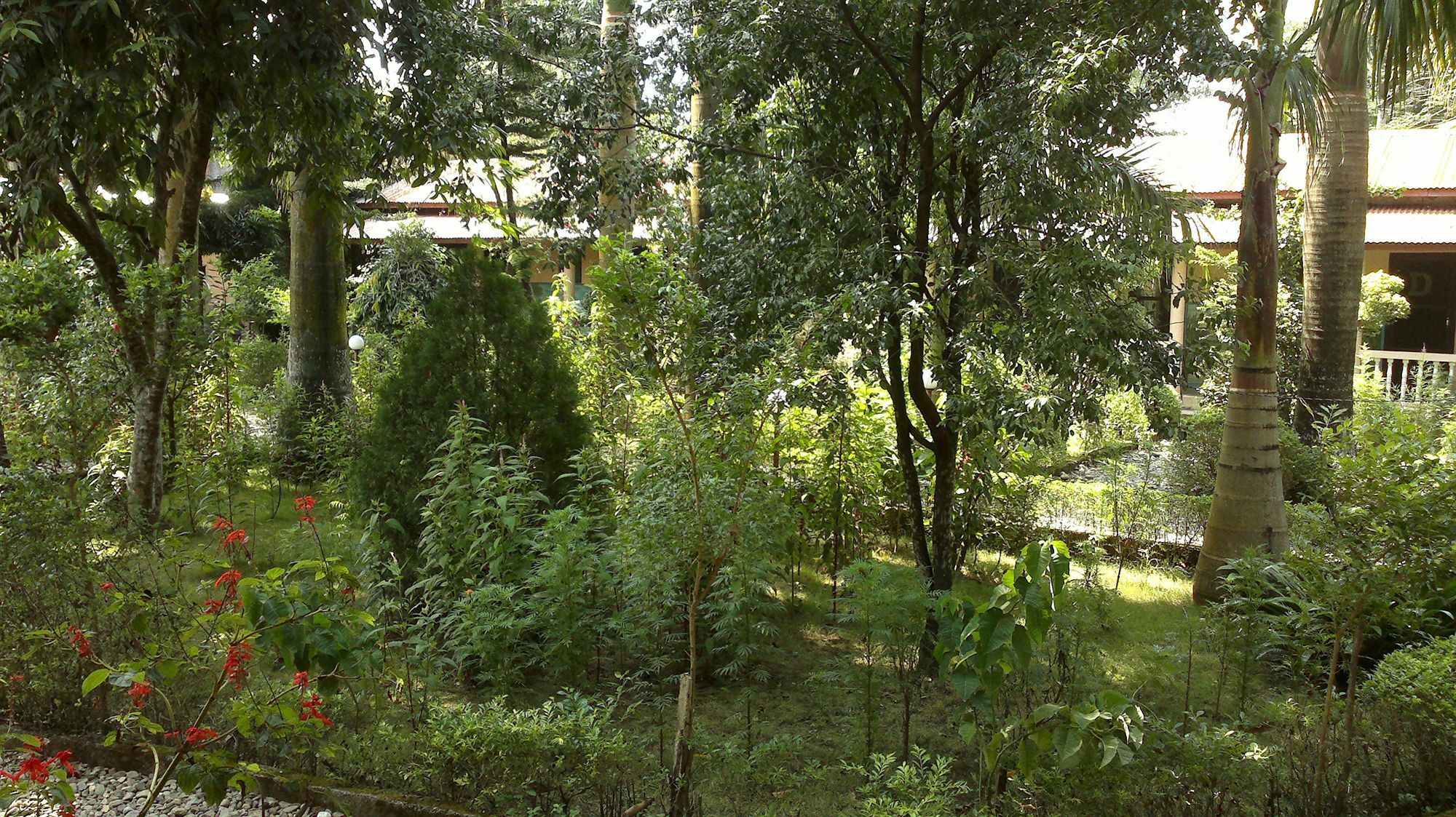 Ama Garden Sauraha 호텔 외부 사진