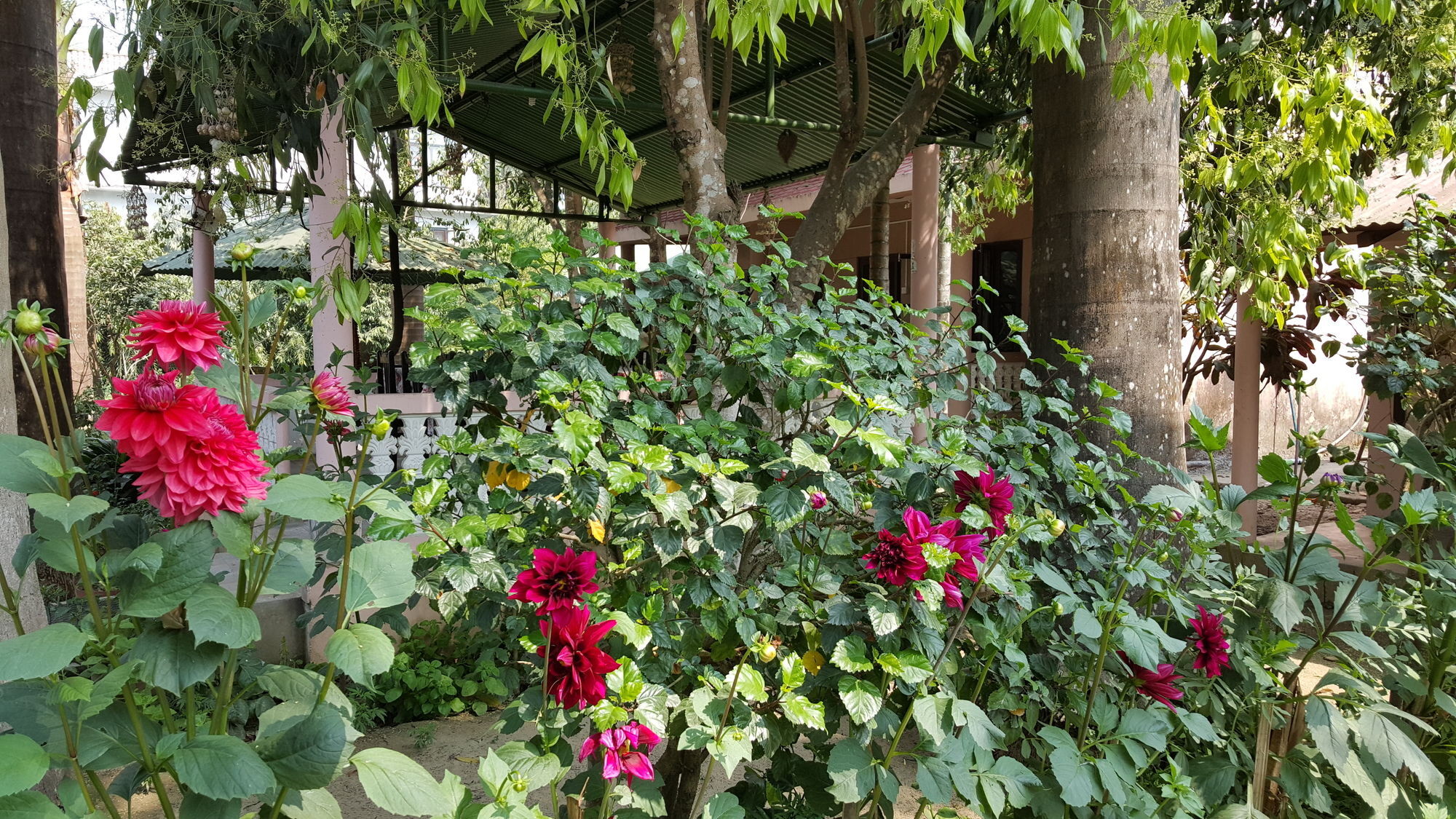 Ama Garden Sauraha 호텔 외부 사진