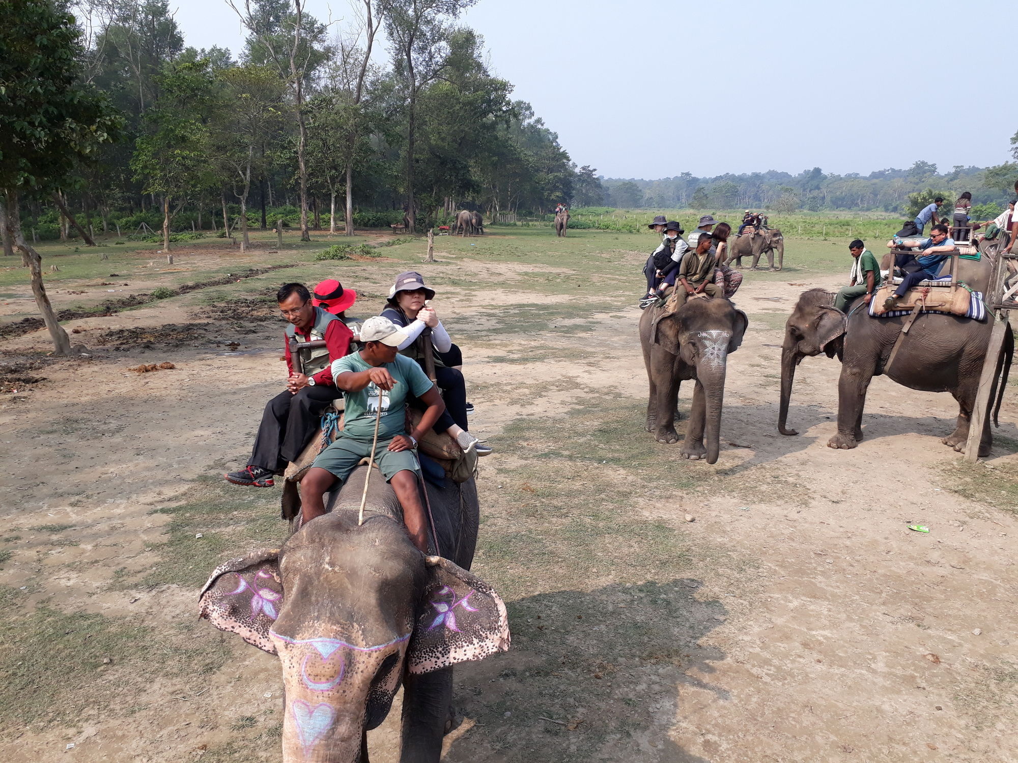Ama Garden Sauraha 호텔 외부 사진