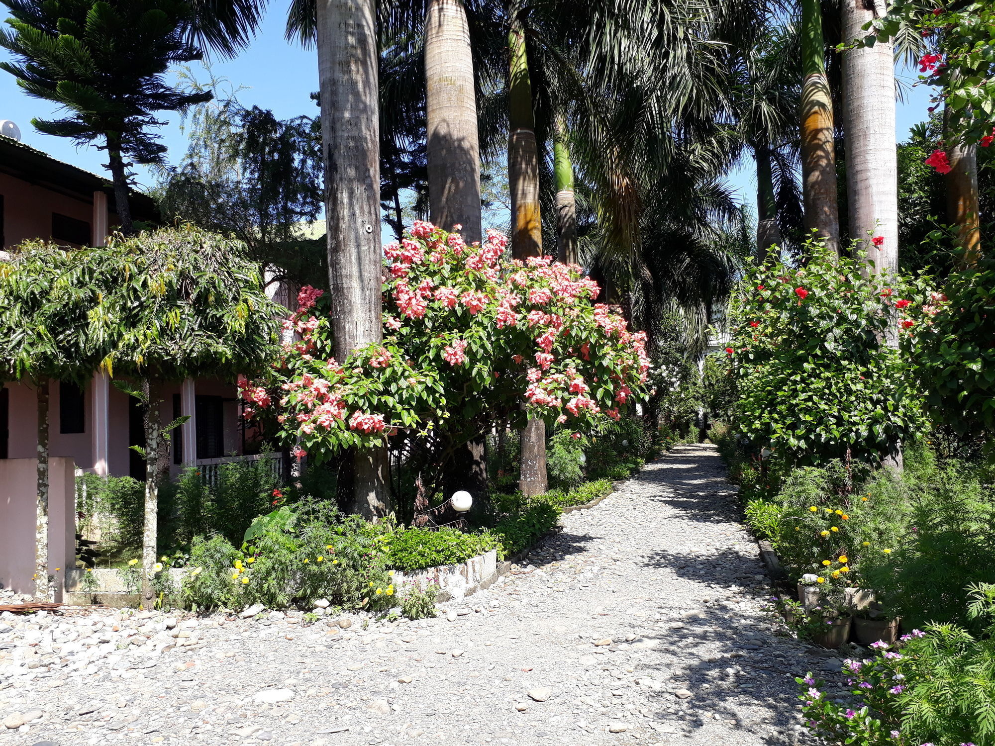 Ama Garden Sauraha 호텔 외부 사진