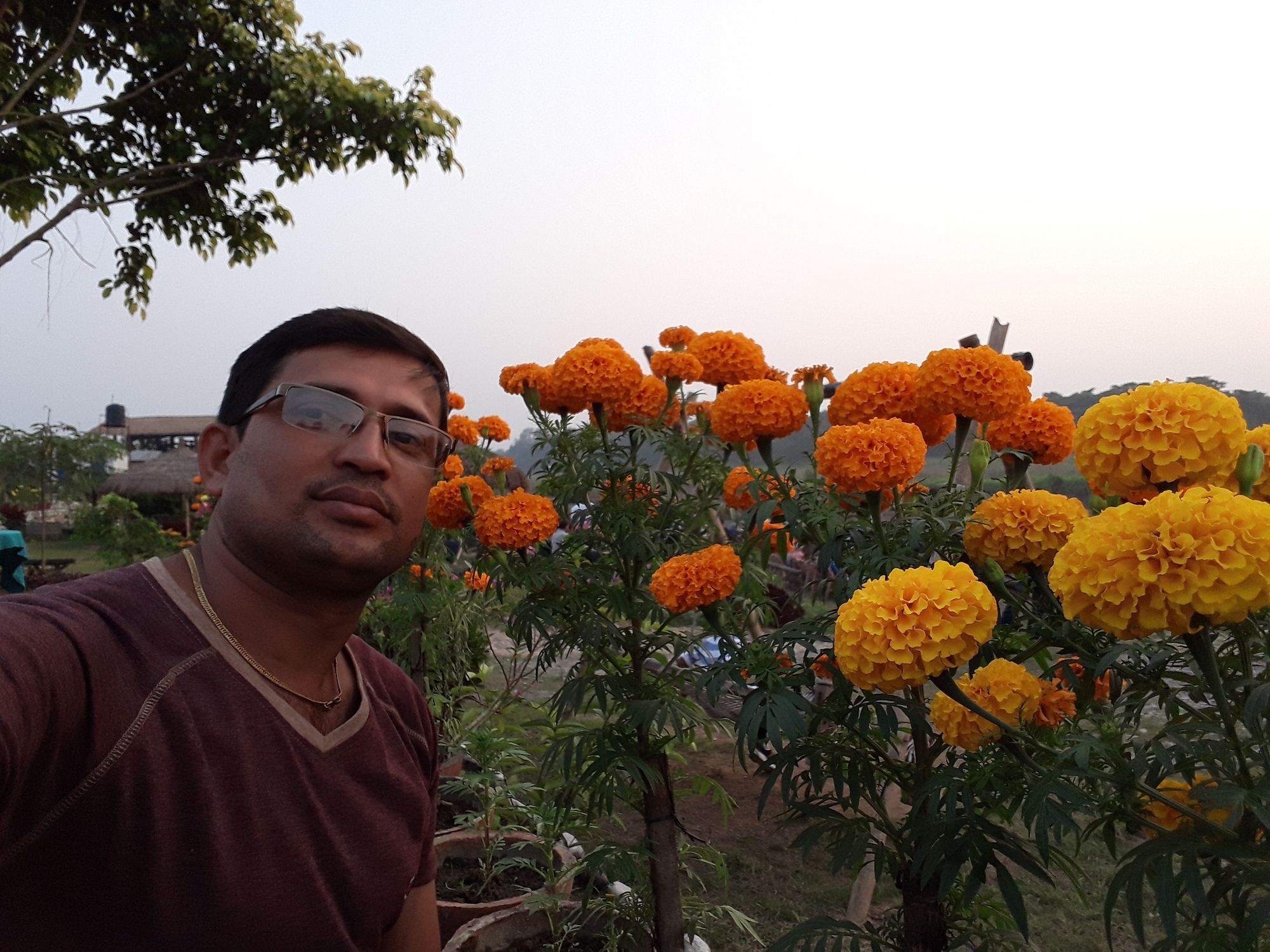 Ama Garden Sauraha 호텔 외부 사진