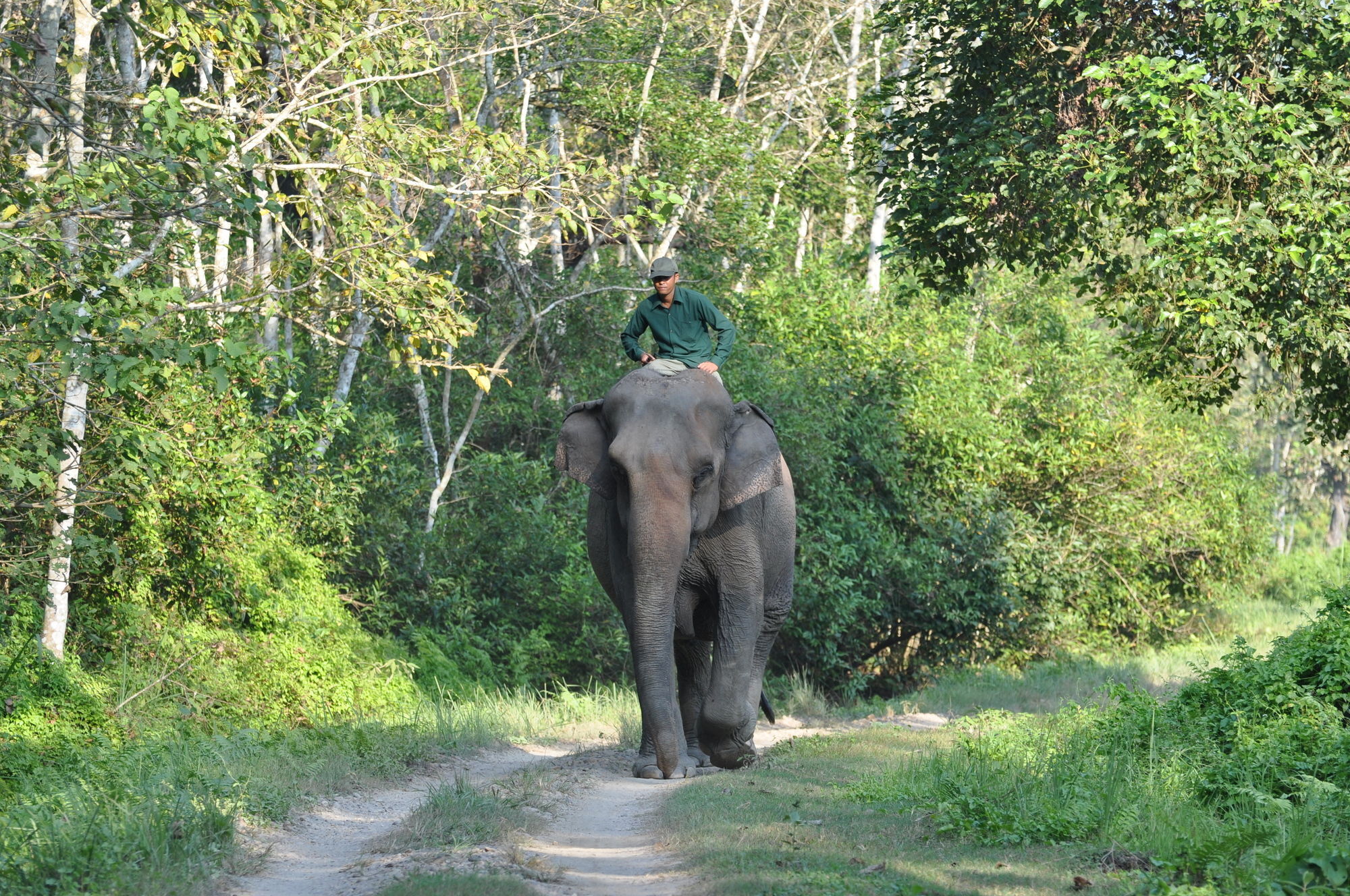 Ama Garden Sauraha 호텔 외부 사진