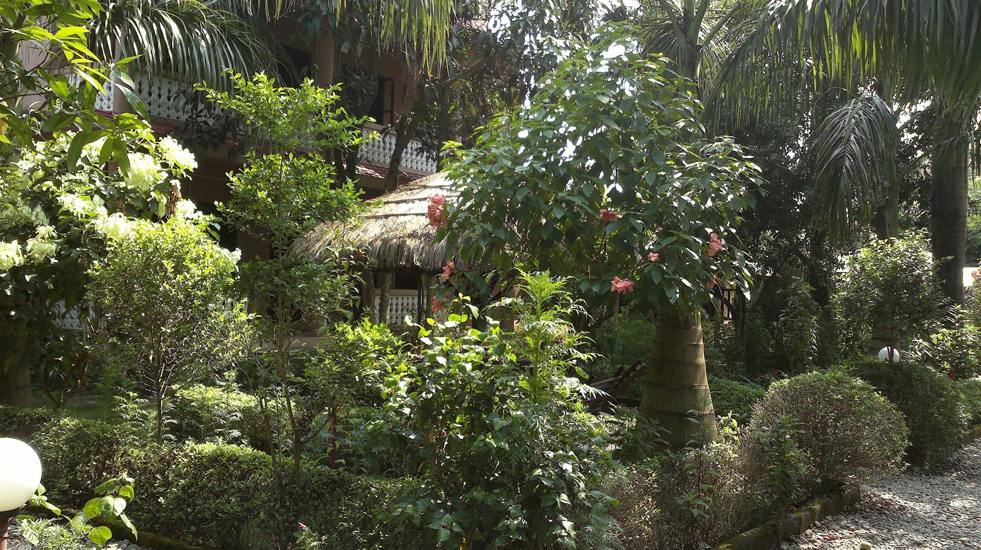 Ama Garden Sauraha 호텔 외부 사진