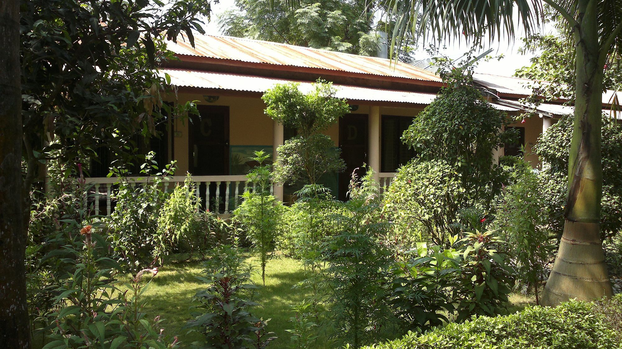 Ama Garden Sauraha 호텔 외부 사진